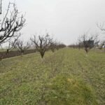 14 Plac Ugrinovci Nova 28