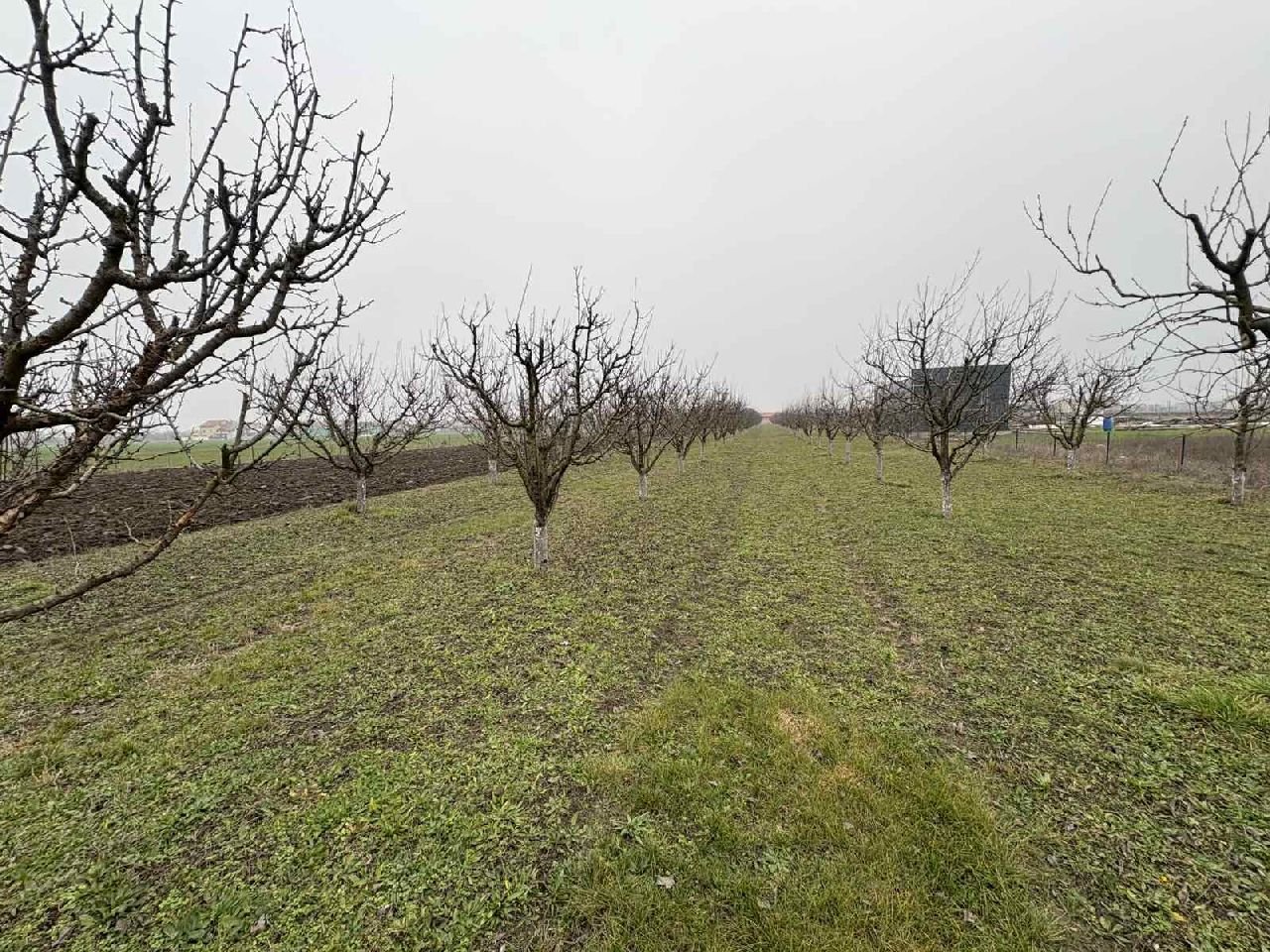 14 Plac Ugrinovci Nova 28