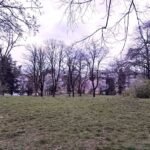 14 Stan Braće Jerković Zaplanjska