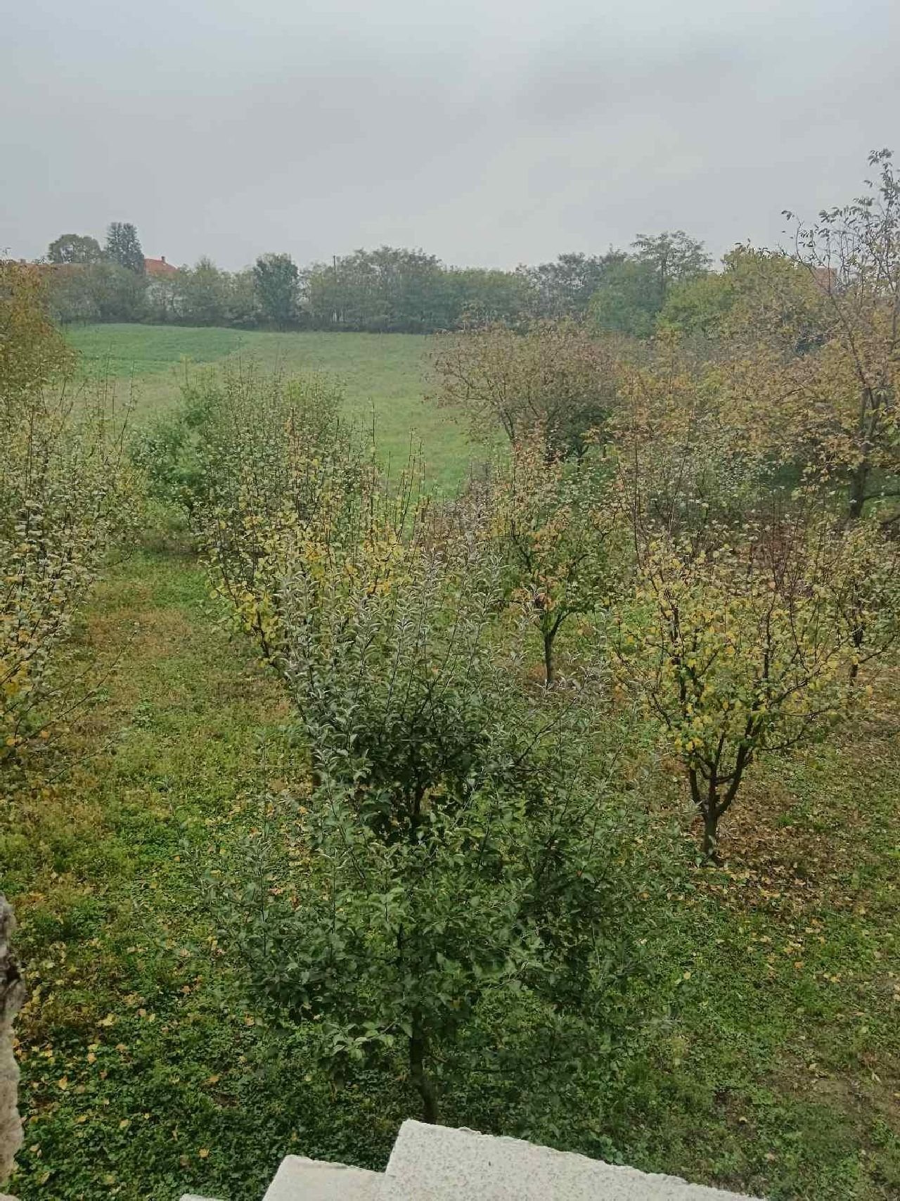 15 Kuća Lisović Ilije I Ivana Trifunovića