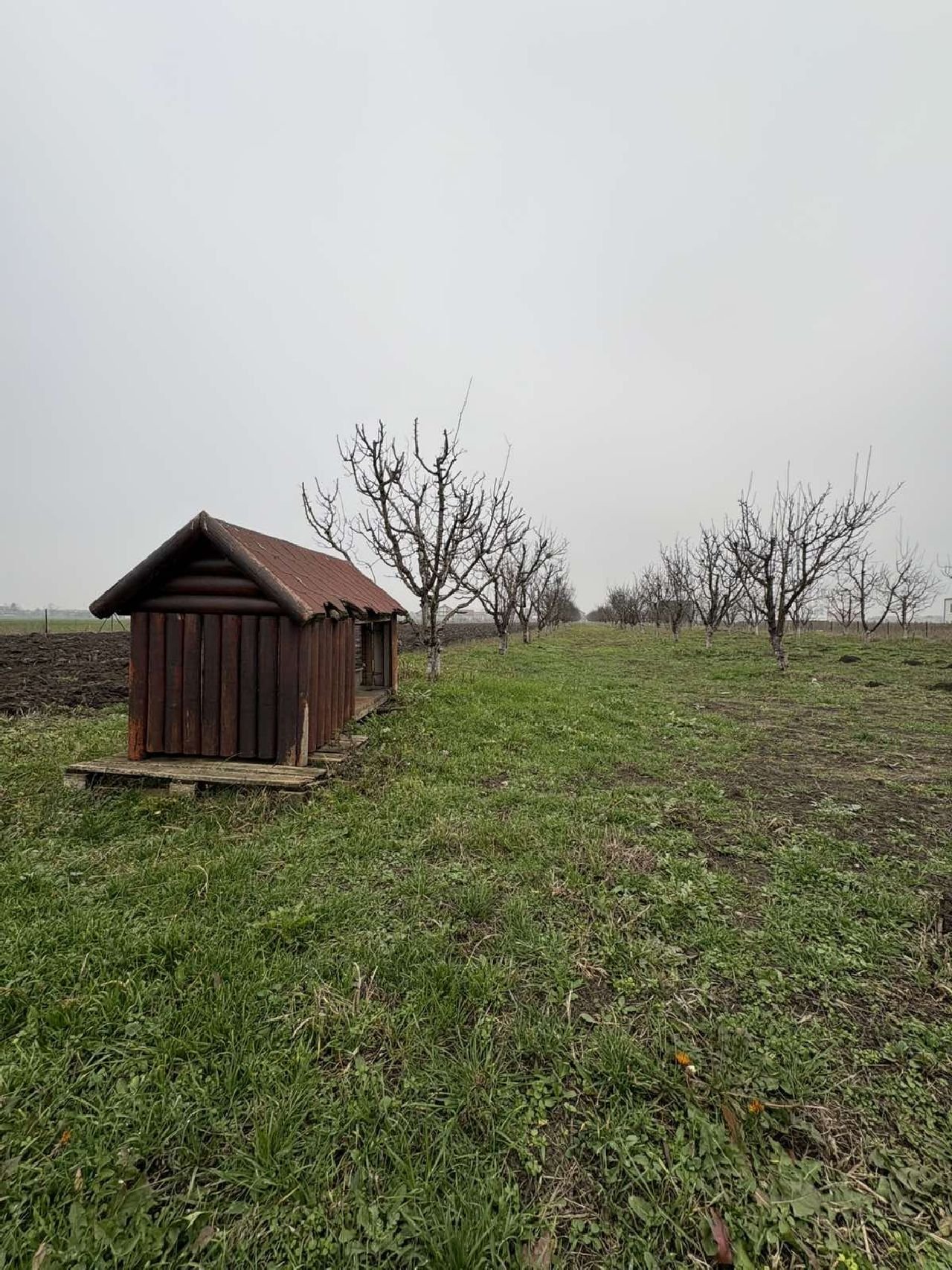 15 Plac Ugrinovci Nova 28