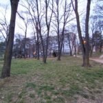 15 Stan Braće Jerković Zaplanjska