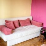 15 Stan Rakovica Dobrivoja Petkovića