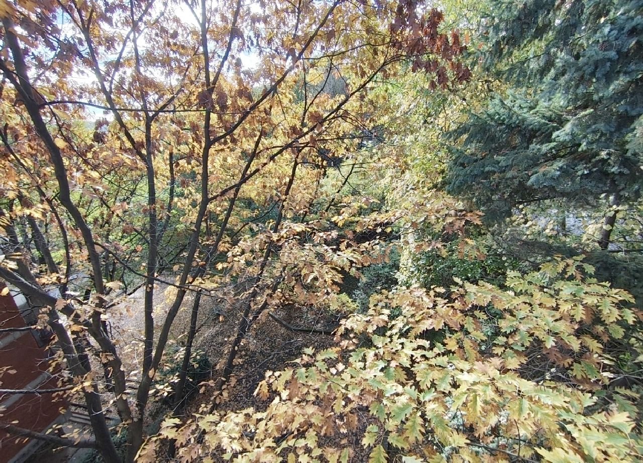 17 Stan Rakovica Janković Stojana