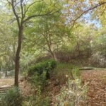 18 Stan Rakovica Janković Stojana