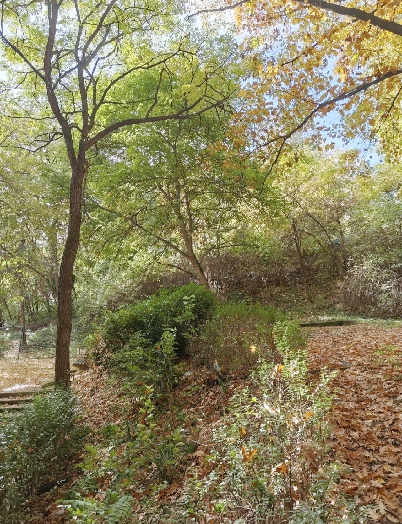 18 Stan Rakovica Janković Stojana