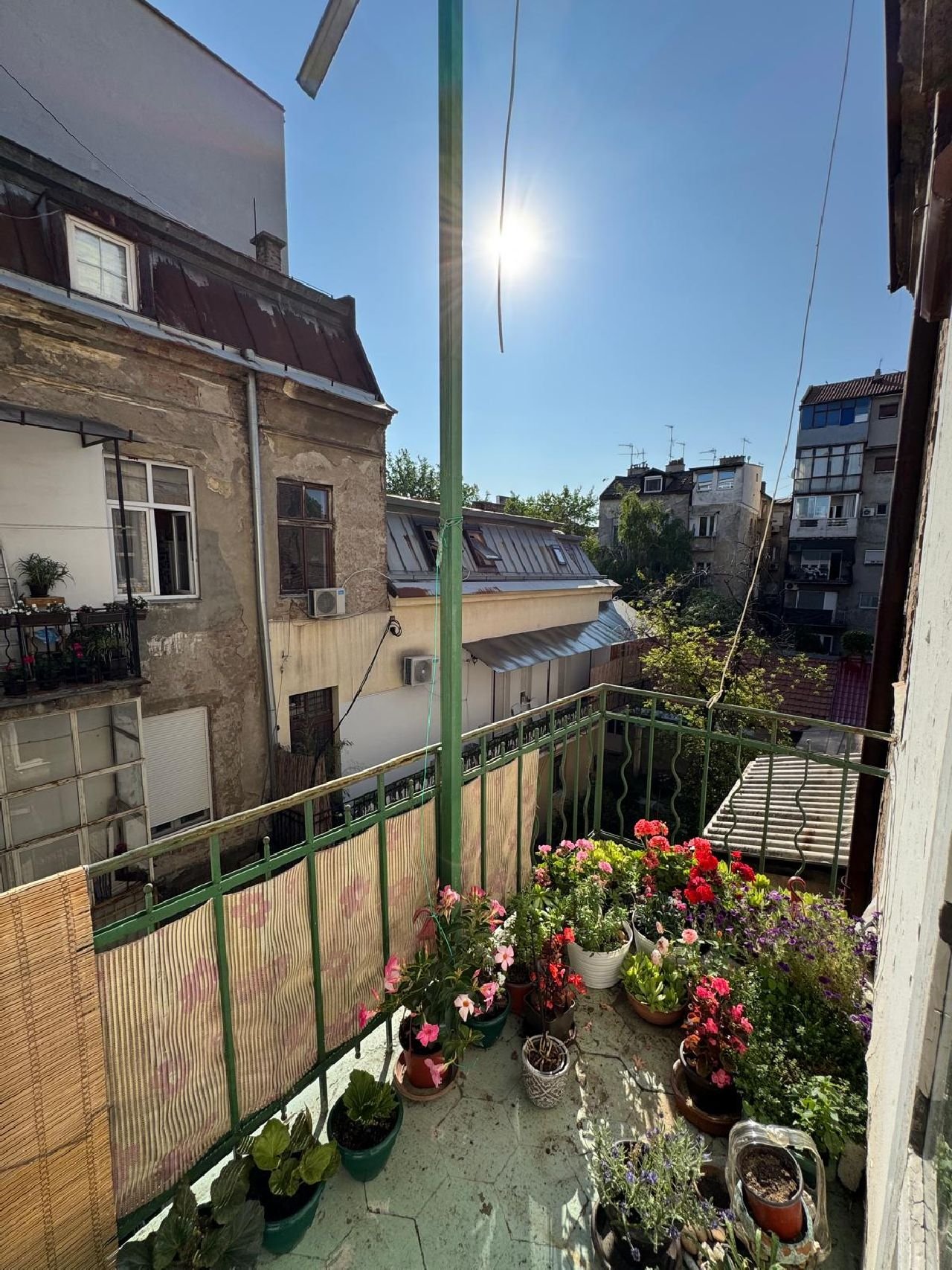 18 Stan Vračar Beogradska